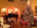 LeeAnne's christmas tree decorating