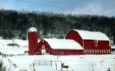 Typical American farm